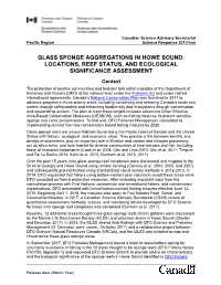 Glass Sponge Aggregations in Howe Sound: Locations, Reef Status, and Ecological Significance Assessment