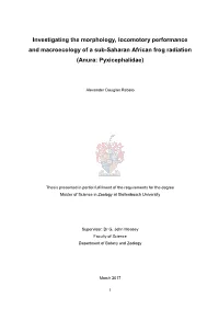 Investigating the Morphology, Locomotory Performance and Macroecology of a Sub-Saharan African Frog Radiation (Anura: Pyxicephalidae)