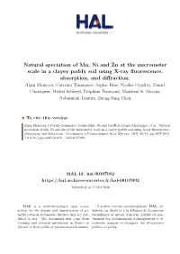 Natural Speciation of Mn, Ni and Zn at the Micrometer Scale in a Clayey Paddy Soil Using X-Ray Fluorescence, Absorption, and Diffraction