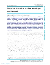 Nesprins: from the Nuclear Envelope and Beyond