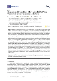 Regulators at Every Step—How Micrornas Drive Tumor Cell Invasiveness and Metastasis