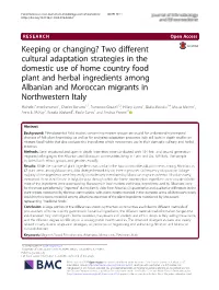Two Different Cultural Adaptation Strategies in the Domestic Use Of