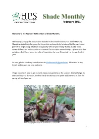 February 2021