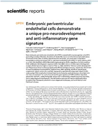 Embryonic Periventricular Endothelial Cells Demonstrate a Unique Pro