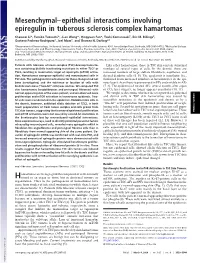 Mesenchymal–Epithelial Interactions Involving Epiregulin in Tuberous Sclerosis Complex Hamartomas
