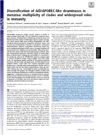 Diversification of AID/APOBEC-Like Deaminases in Metazoa: Multiplicity