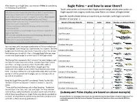 Eagle Palms – and How to Wear Them!!
