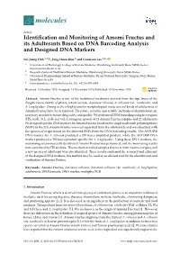 Identification and Monitoring of Amomi Fructus and Its Adulterants Based