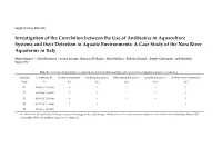 Investigation of the Correlation Between the Use of Antibiotics In