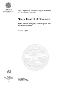 Neural Control of Movement: Motor Neuron Subtypes, Proprioception and Recurrent Inhibition
