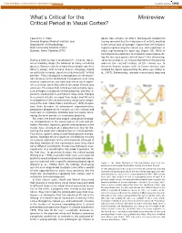 What's Critical for the Minireview Critical Period in Visual Cortex?