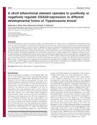 A Short Bifunctional Element Operates to Positively Or Negatively Regulate ESAG9 Expression in Different Developmental Forms Of
