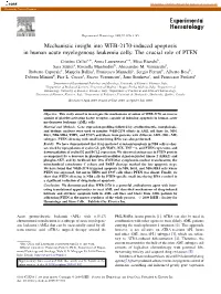 Mechanistic Insight Into WEB-2170-Induced Apoptosis In
