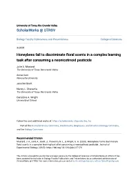Honeybees Fail to Discriminate Floral Scents in a Complex Learning Task After Consuming a Neonicotinoid Pesticide