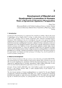 Development of Bipedal and Quadrupedal Locomotion in Humans from a Dynamical Systems Perspective