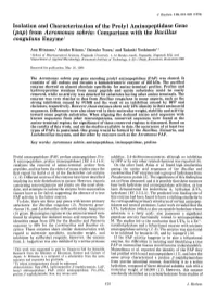 Isolation and Characterization of the Prolyl Aminopeptidase Gene (Pap) from Aeromonas Sobria: Comparison with the Bacillus Coagulans Enzyme1