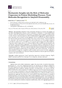 Mechanistic Insights Into the Role of Molecular Chaperones in Protein Misfolding Diseases: from Molecular Recognition to Amyloid Disassembly