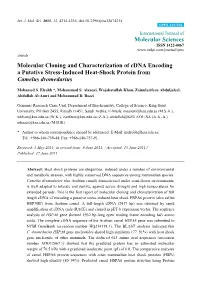 Molecular Cloning and Characterization of Cdna Encoding a Putative Stress-Induced Heat-Shock Protein from Camelus Dromedarius