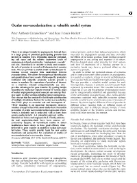 Ocular Neovascularization: a Valuable Model System