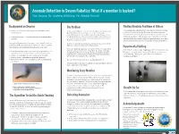Background on Swarms the Problem the Algorithm Tested On: Boids