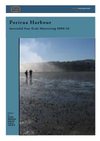 Porirua Harbour Intertidal Fine Scale Monitoring 2009/10