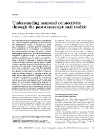 Understanding Neuronal Connectivity Through the Post-Transcriptional Toolkit