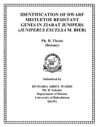 Identification of Dwarf Mistletoe Resistant Genes in Ziarat Junipers (Juniperus Excelsa M