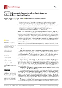 Novel Kidney Auto Transplantation Technique for Ischemia-Reperfusion Studies