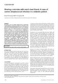 A Case of Canine Streptococcal Infection in a Diabetic Patient