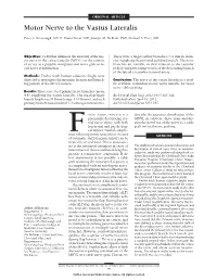 Motor Nerve to the Vastus Lateralis