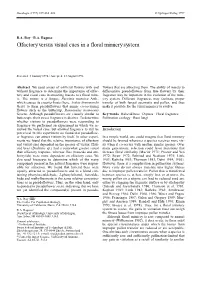 Olfactory Versus Visual Cues in a Floral Mimicry System