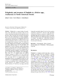 Polyploidy and Invasion of English Ivy (Hedera Spp., Araliaceae) in North American Forests