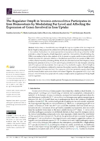The Regulator Ompr in Yersinia Enterocolitica Participates in Iron Homeostasis by Modulating Fur Level and Affecting the Expression of Genes Involved in Iron Uptake