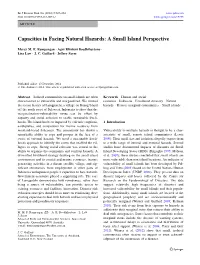 Capacities in Facing Natural Hazards: a Small Island Perspective