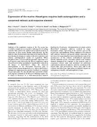 Expression of the Murine Hoxa4 Gene Requires Both Autoregulation and a Conserved Retinoic Acid Response Element