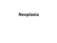Neoplasia Is New Growth Uncoordinated with Normal Tissue