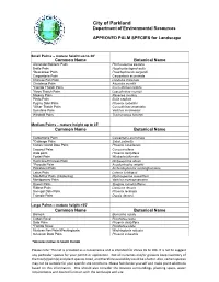 Approved Palm Tree List