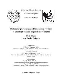 Molecular Phylogeny and Taxonomic Revision of Chaetophoralean Algae (Chlorophyta)