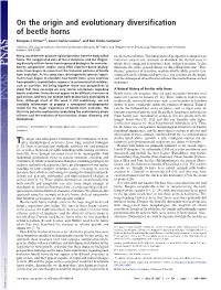On the Origin and Evolutionary Diversification of Beetle Horns
