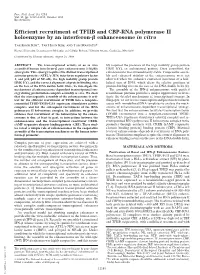 Efficient Recruitment of TFIIB and CBP-RNA Polymerase II Holoenzyme by an Interferon-␤ Enhanceosome in Vitro