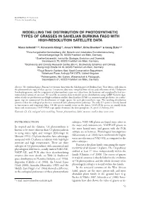 Modelling the Distribution of Photosynthetic Types of Grasses in Sahelian Burkina Faso with High-Resolution Satellite Data