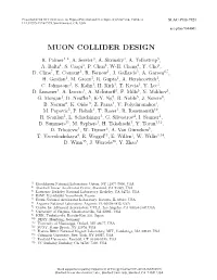 Muon Collider Design