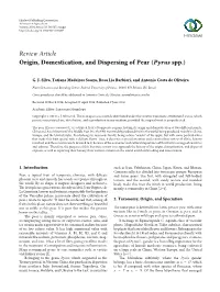 Origin, Domestication, and Dispersing of Pear (Pyrus Spp.)