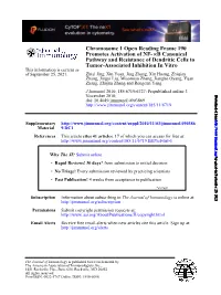 Tumor-Associated Inhibition in Vitro Pathway and Resistance of Dendritic Cells to B Canonical Κ Promotes Activation of NF
