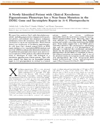A Newly Identified Patient with Clinical Xeroderma Pigmentosum Phenotype Has a Non-Sense Mutation in the DDB2 Gene and Incomplet