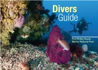 Divers Guide