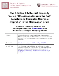 The X-Linked Intellectual Disability Protein PHF6 Associates with the PAF1 Complex and Regulates Neuronal Migration in the Mammalian Brain