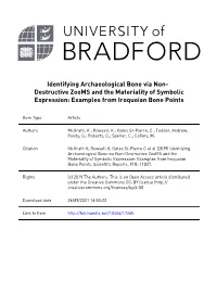 Identifying Archaeological Bone Via Non- Destructive Zooms and the Materiality of Symbolic Expression: Examples from Iroquoian Bone Points