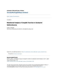 Mutational Analysis of Geopilin Function in Geobacter Sulfurreducens