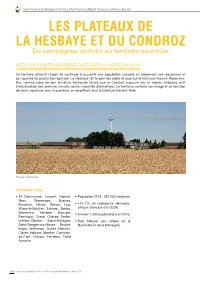Hesbaye-Condroz